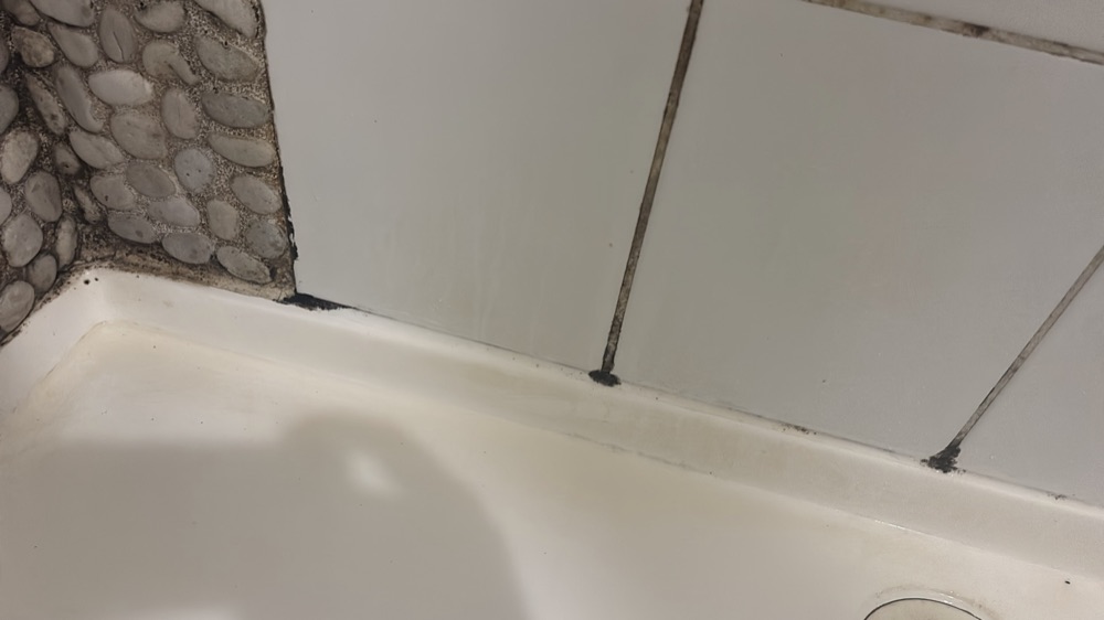 Mould growth found in one or more areas, recorded during a pre-purchase inspection in Bacchus Marsh, 18 km from Rockbank